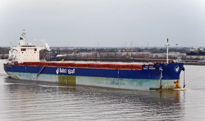 BAHRI TRADER Bulk Carrier IMO 9660554 photo 20