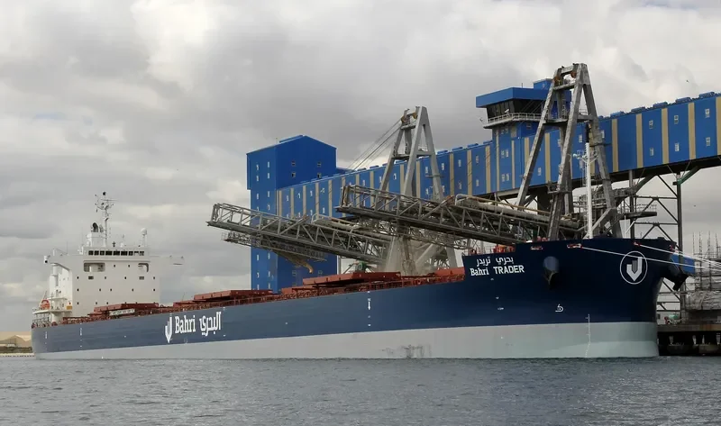 BAHRI TRADER Bulk Carrier IMO 9660554 photo 33