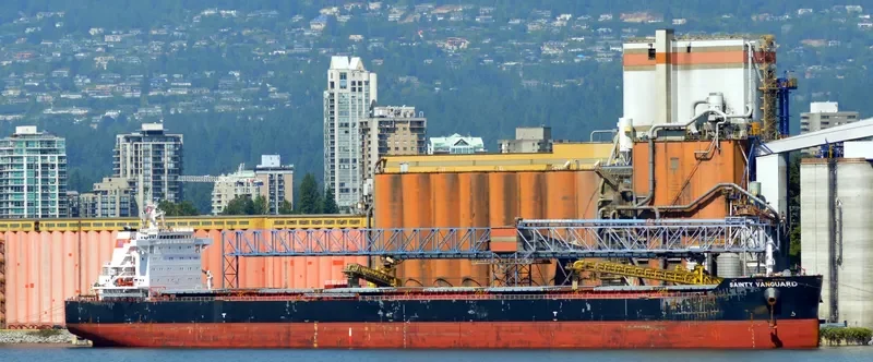 ANGLO RED Bulk Carrier IMO 9660578 photo 2