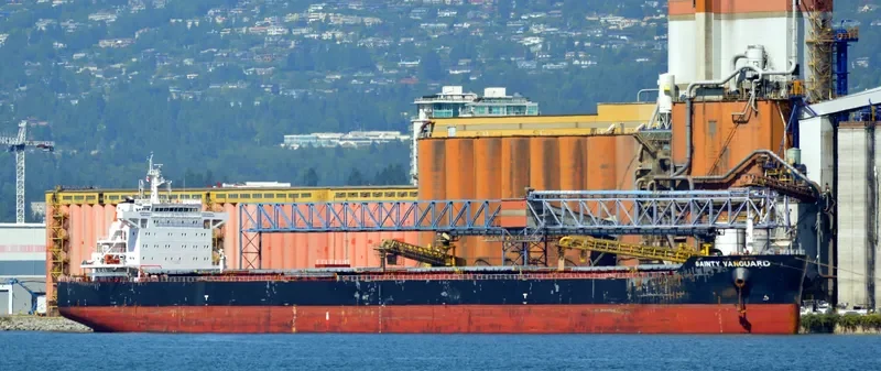ANGLO RED Bulk Carrier IMO 9660578 photo 3