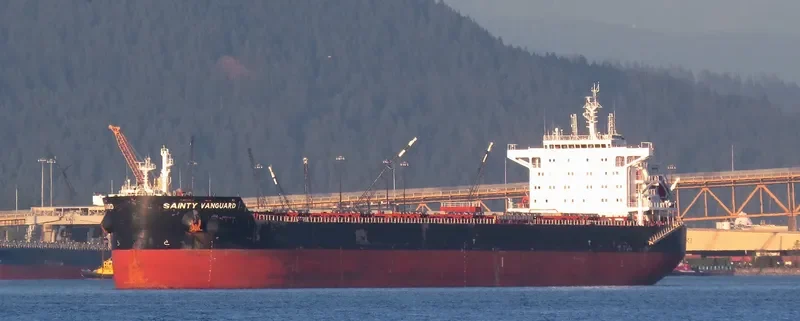 ANGLO RED Bulk Carrier IMO 9660578 photo 4