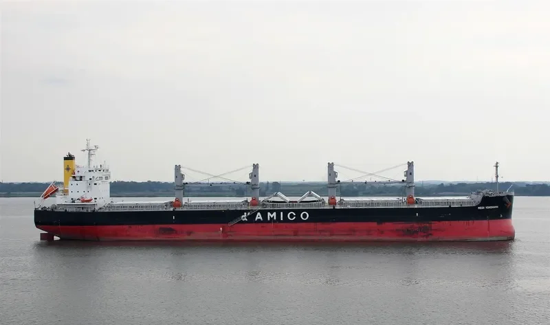 MEDI YOKOHAMA Bulk Carrier IMO 9660592 photo 5