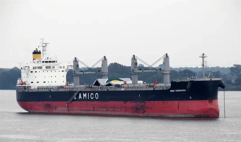 MEDI YOKOHAMA Bulk Carrier IMO 9660592 photo 6