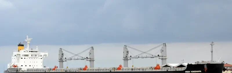 MEDI YOKOHAMA Bulk Carrier IMO 9660592 photo 8