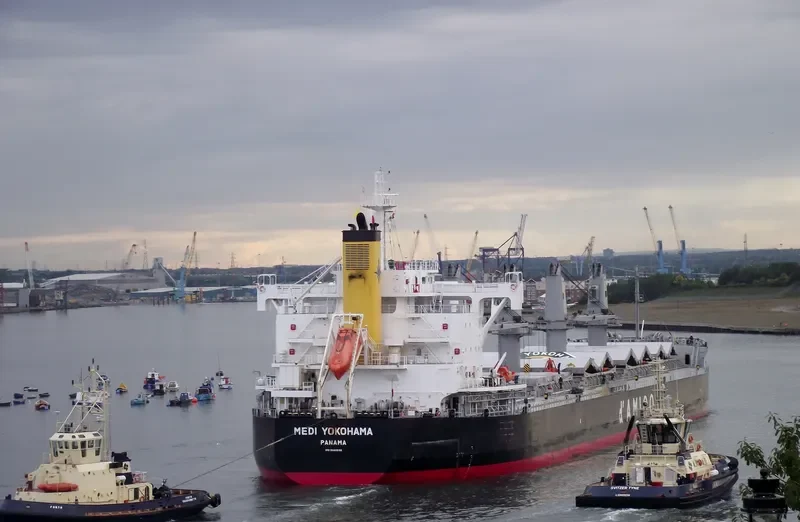 MEDI YOKOHAMA Bulk Carrier IMO 9660592 photo 10