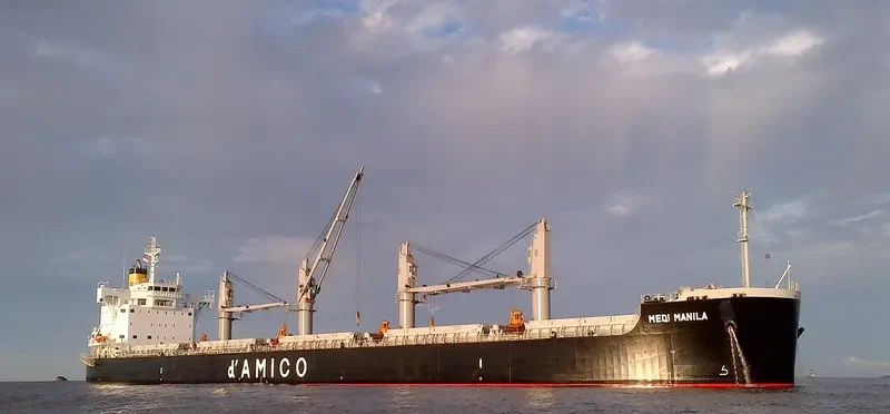 MEDI MANILA Bulk Carrier IMO 9660607 photo 2