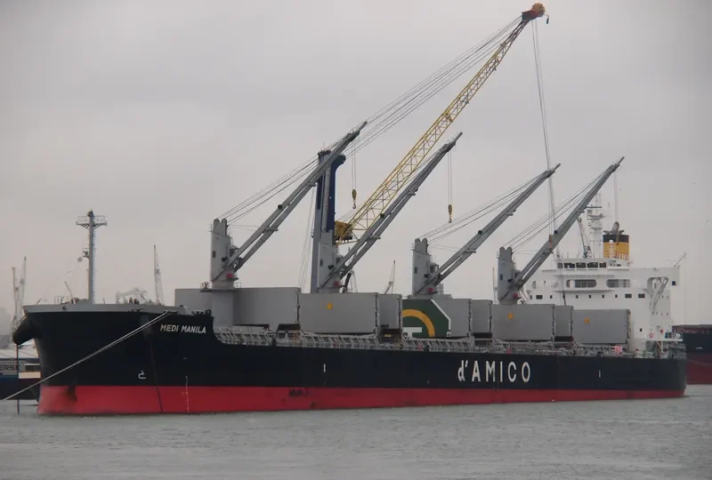 MEDI MANILA Bulk Carrier IMO 9660607 photo 3