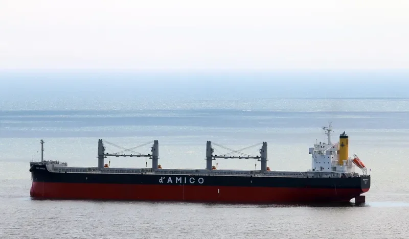 MEDI MANILA Bulk Carrier IMO 9660607 photo 6