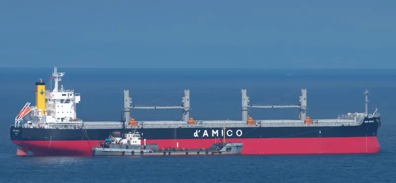 MEDI MANILA Bulk Carrier IMO 9660607 photo 7