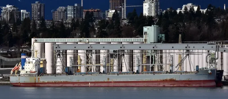 AKTI Bulk Carrier IMO 9660619 photo 6