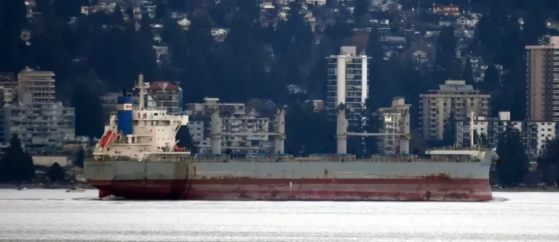 AKTI Bulk Carrier IMO 9660619 photo 7