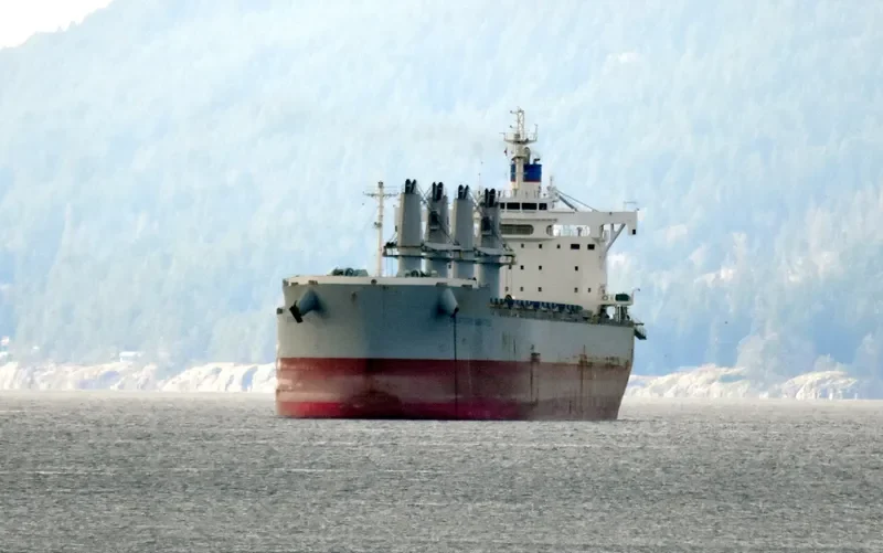 AKTI Bulk Carrier IMO 9660619 photo 8