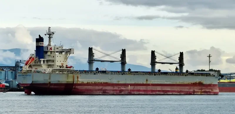 AKTI Bulk Carrier IMO 9660619 photo 9