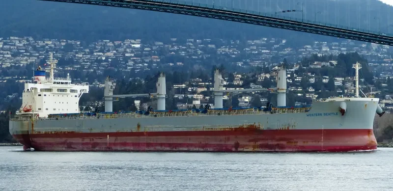 AKTI Bulk Carrier IMO 9660619 photo 10