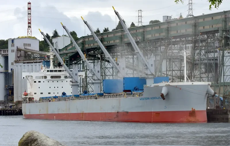 MOLYVOS LUCK Bulk Carrier IMO 9660621