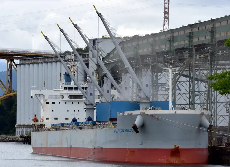 MOLYVOS LUCK Bulk Carrier IMO 9660621 photo 2
