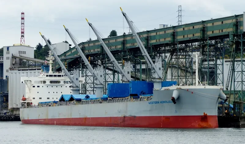 MOLYVOS LUCK Bulk Carrier IMO 9660621 photo 3