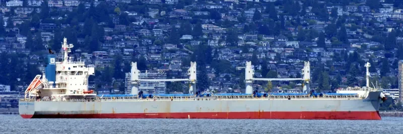 MOLYVOS LUCK Bulk Carrier IMO 9660621 photo 6