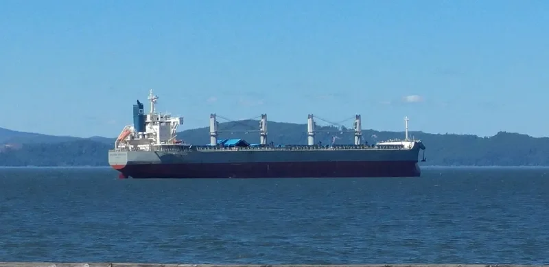 MOLYVOS LUCK Bulk Carrier IMO 9660621 photo 7
