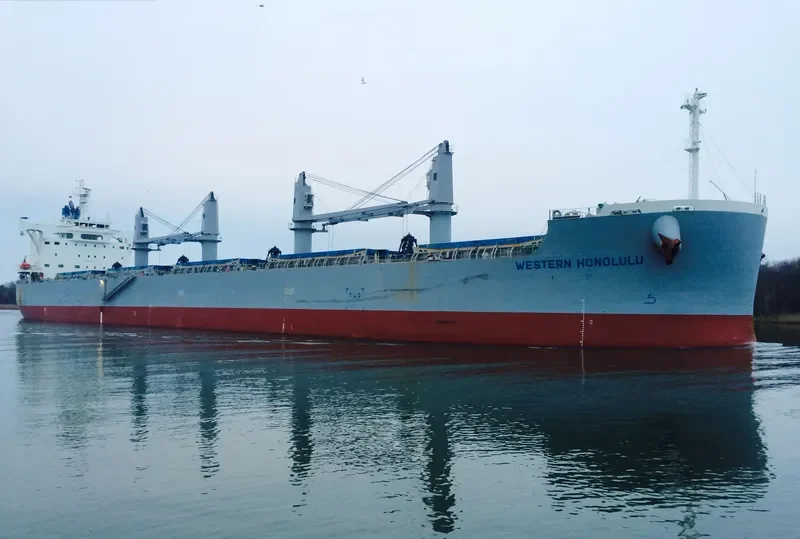 MOLYVOS LUCK Bulk Carrier IMO 9660621 photo 9