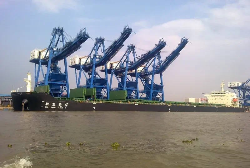 XIN DONG GUAN 4 Bulk Carrier IMO 9660633