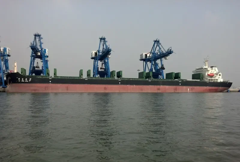XIN DONG GUAN 5 Bulk Carrier IMO 9660645