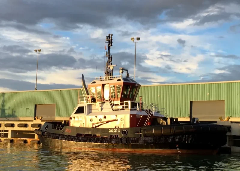 CHLOE K General Cargo IMO 9660956 photo 2