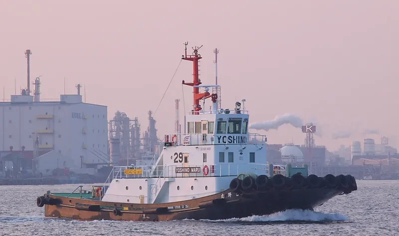 YOSHINO MARU General Cargo IMO 9660970 photo 2