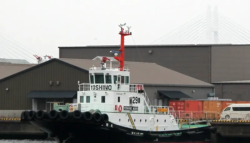 YOSHINO MARU General Cargo IMO 9660970 photo 4