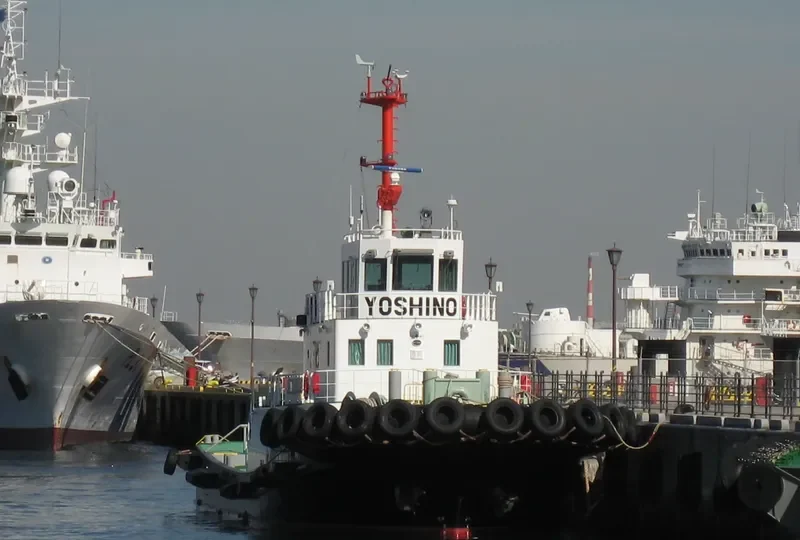 YOSHINO MARU General Cargo IMO 9660970 photo 8