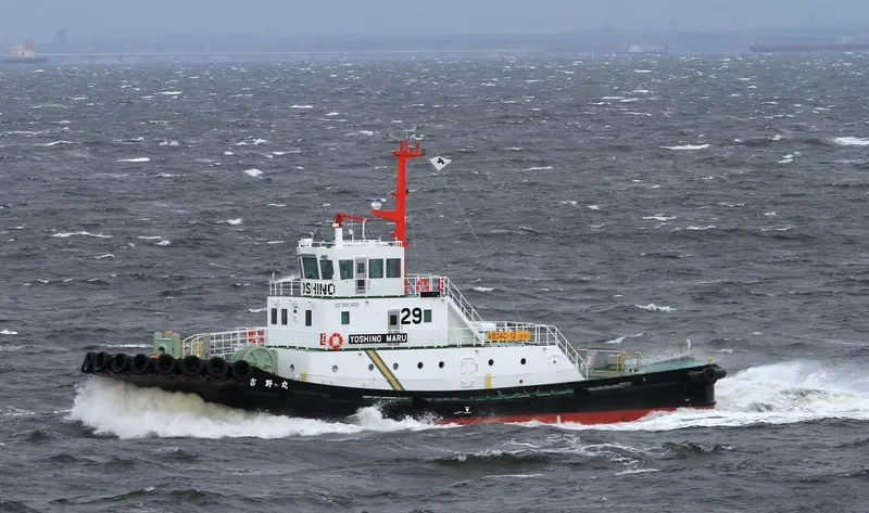 YOSHINO MARU General Cargo IMO 9660970 photo 9