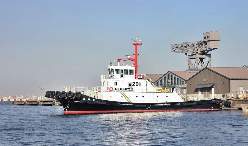 YOSHINO MARU General Cargo IMO 9660970 photo 10