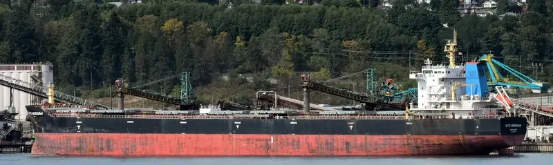SITC HENGSHAN Bulk Carrier IMO 9661091 photo 2