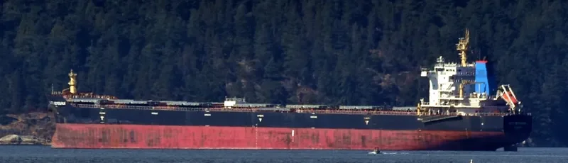 SITC HENGSHAN Bulk Carrier IMO 9661091 photo 4
