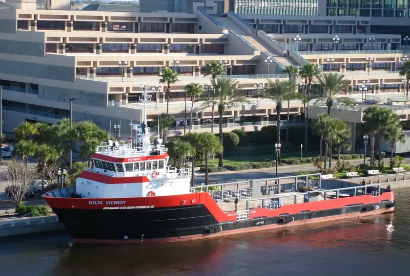 DELTA VICEROY Offshore Vessel IMO 9661194 photo 8