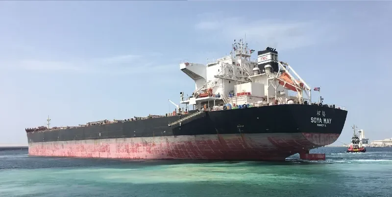 PHAIDRA Bulk Carrier IMO 9661211 photo 2