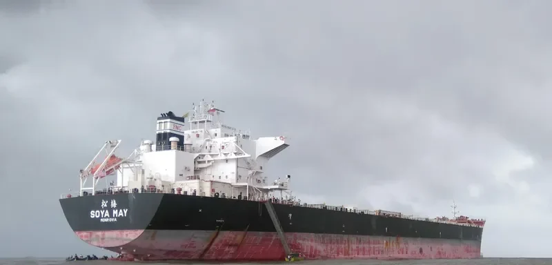 PHAIDRA Bulk Carrier IMO 9661211 photo 3