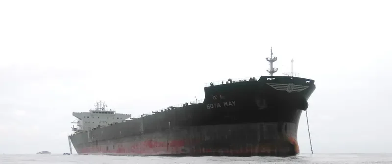 PHAIDRA Bulk Carrier IMO 9661211 photo 5