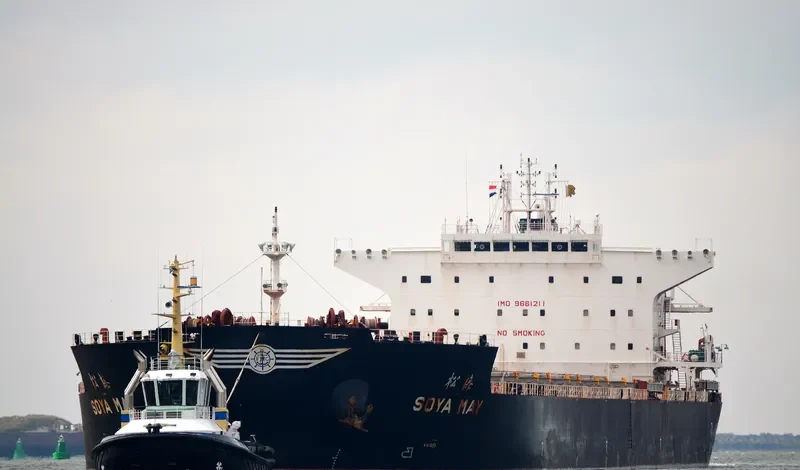 PHAIDRA Bulk Carrier IMO 9661211 photo 9