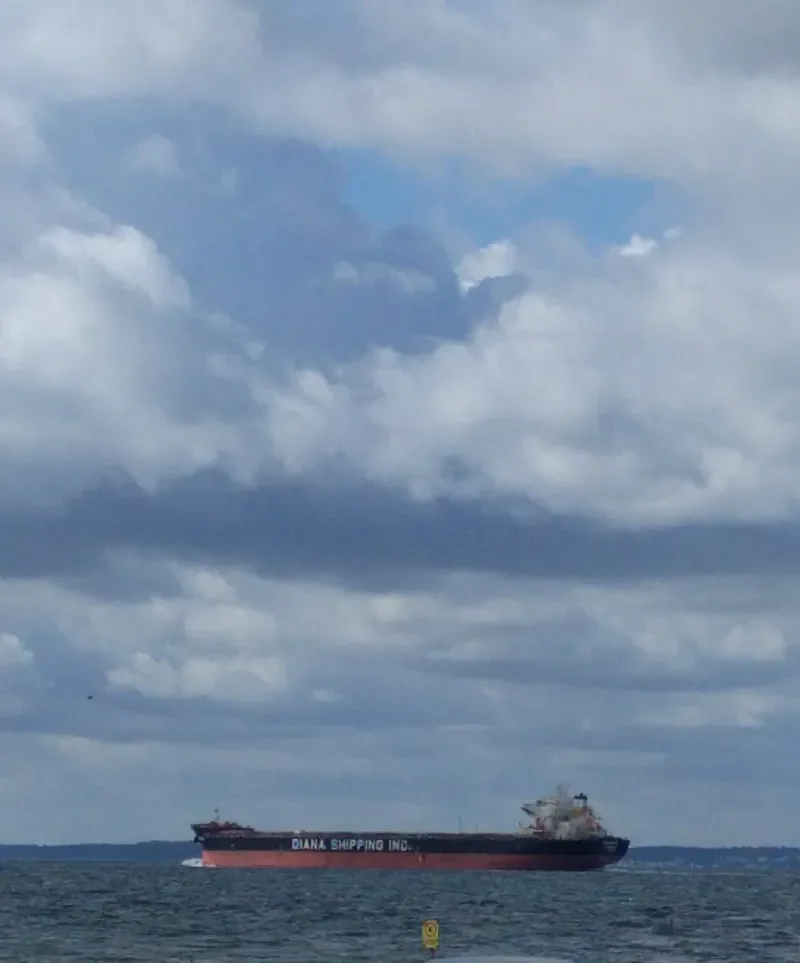 ELECTRA Bulk Carrier IMO 9661223 photo 3