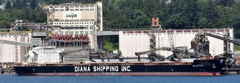 ELECTRA Bulk Carrier IMO 9661223 photo 4
