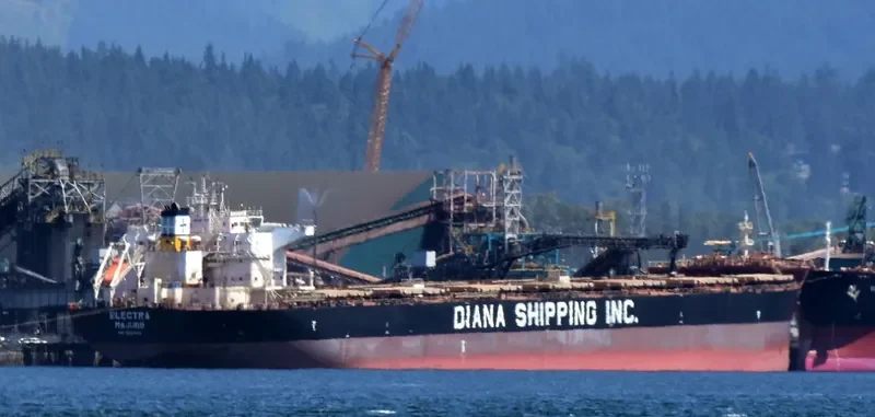 ELECTRA Bulk Carrier IMO 9661223 photo 5