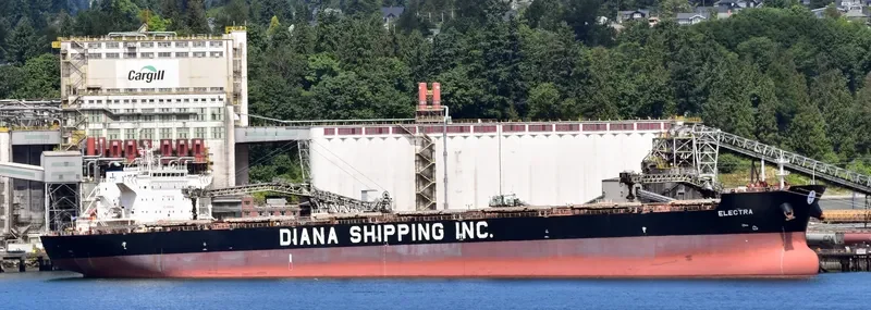 ELECTRA Bulk Carrier IMO 9661223 photo 6