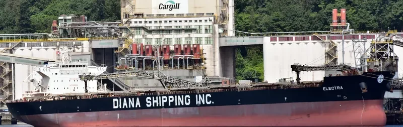 ELECTRA Bulk Carrier IMO 9661223 photo 7