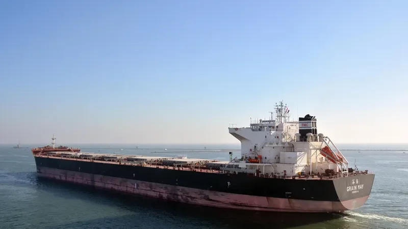ELECTRA Bulk Carrier IMO 9661223 photo 8