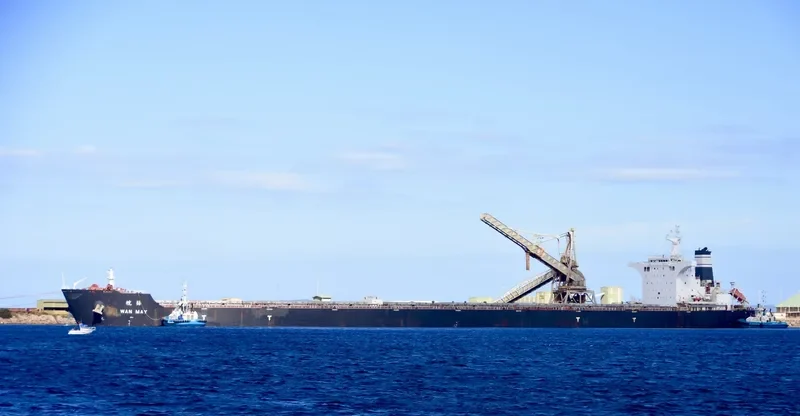 CSSC WAN MEI Bulk Carrier IMO 9661871 photo 3