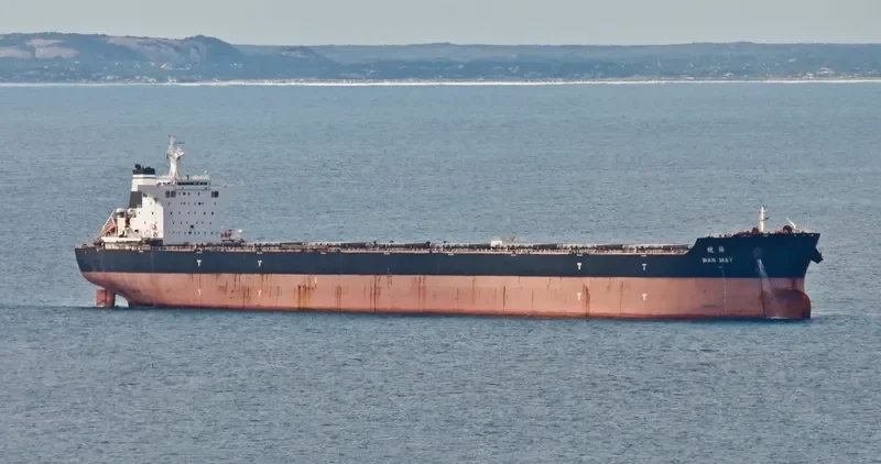 CSSC WAN MEI Bulk Carrier IMO 9661871 photo 5