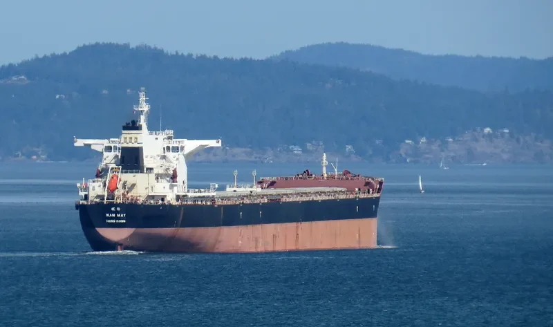 CSSC WAN MEI Bulk Carrier IMO 9661871 photo 6