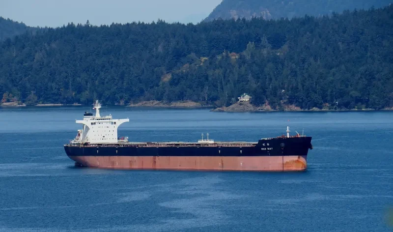 CSSC WAN MEI Bulk Carrier IMO 9661871 photo 7