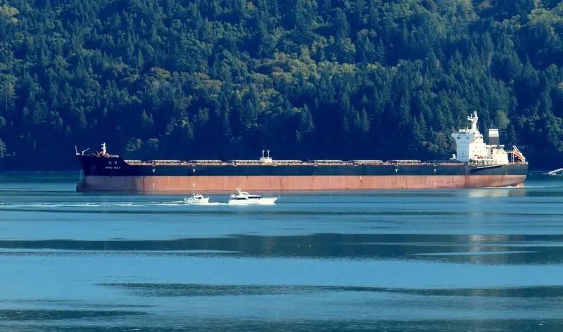 CSSC WAN MEI Bulk Carrier IMO 9661871 photo 8